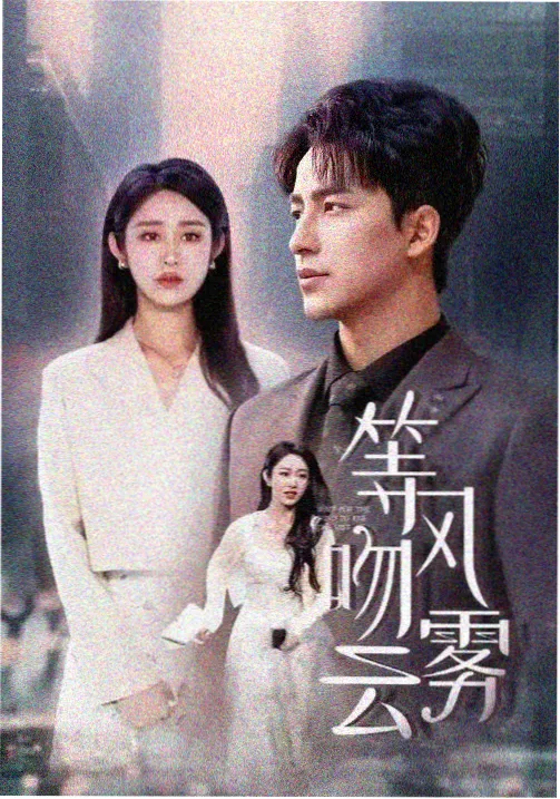 国产剧集推荐 长夜回声 剧照